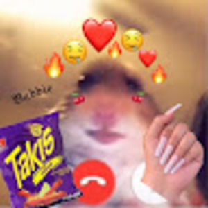 Meet your Posher, Natasha